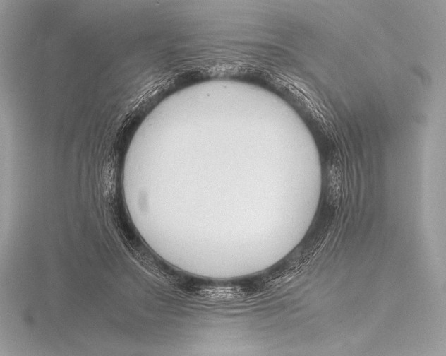 X0000115800499200912111212