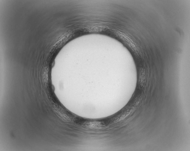 X0000115800501200912111212