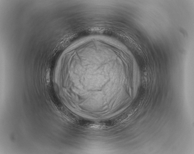 X0000115800504200912111212