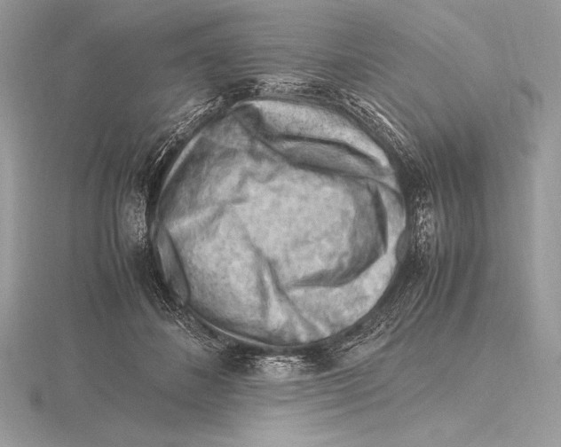 X0000115800508200912111212