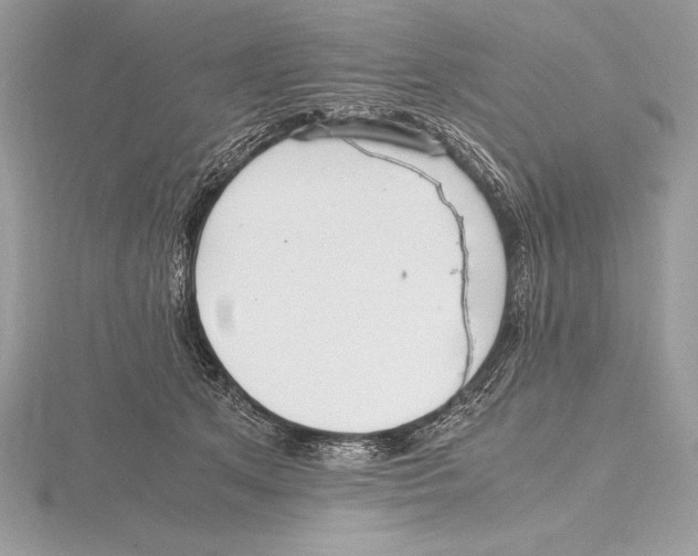 X0000115800513200912111212