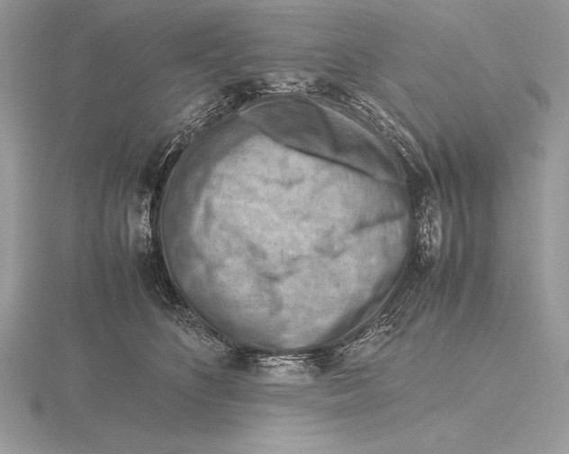 X0000115800516200912111212