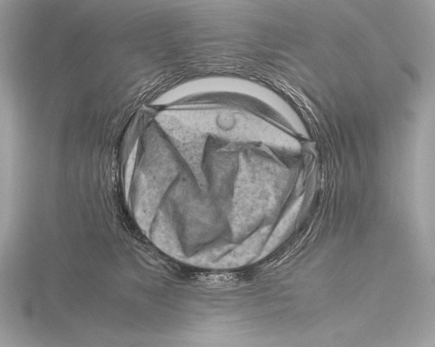 X0000115800517200912111212