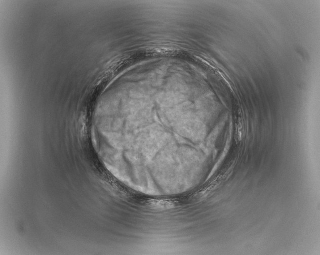 X0000115800520200912111212