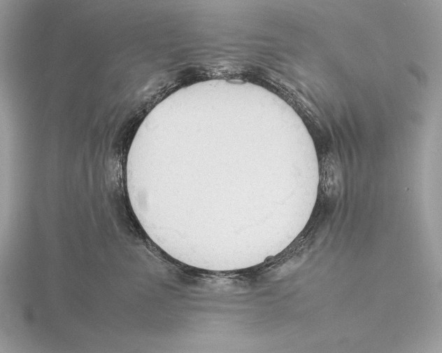 X0000115800523200912111212