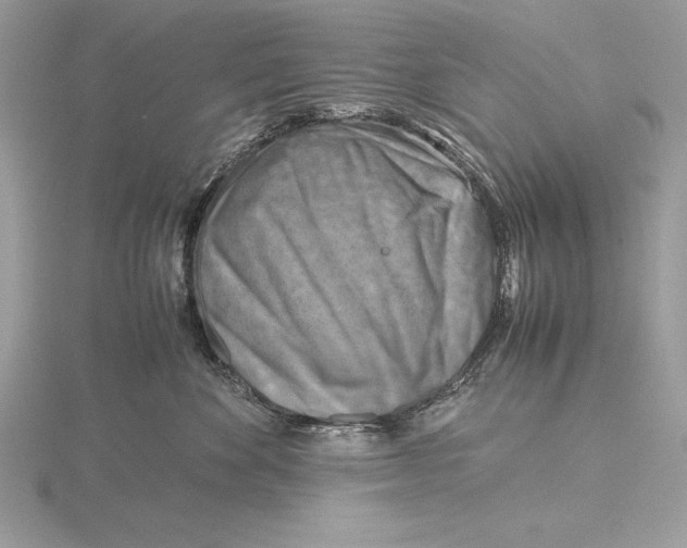 X0000115800524200912111212