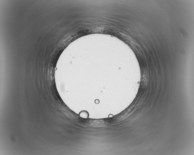 X0000115800525200912111212