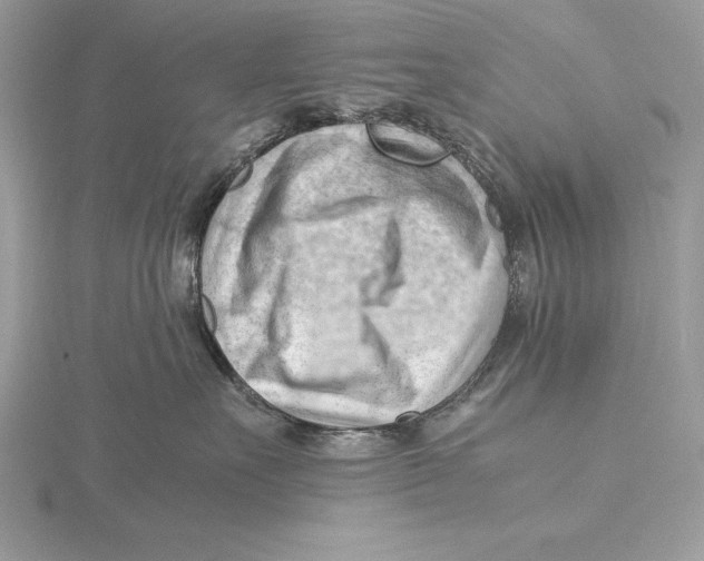 X0000115800527200912111212