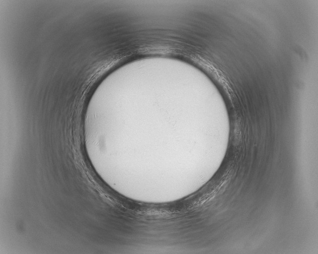 X0000115800529200912111211