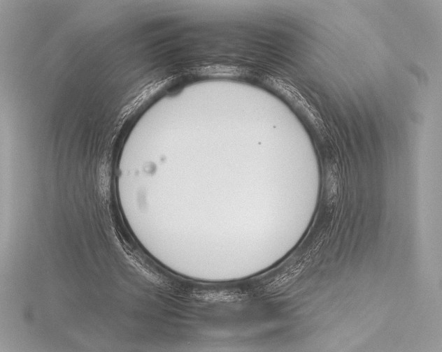 X0000115800533200912111211