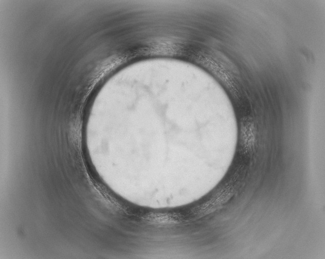 X0000115800534200912111211