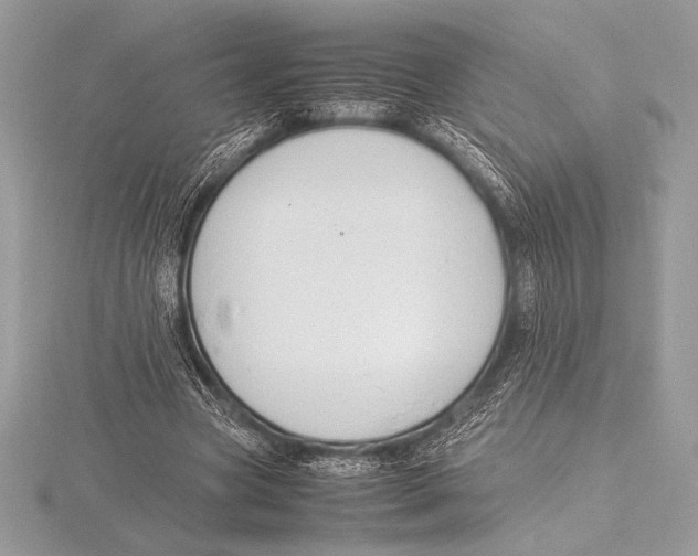 X0000115800537200912111211