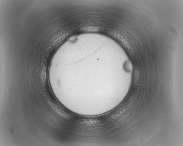 X0000115800541200912111211