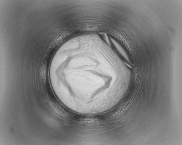 X0000115800542200912111211