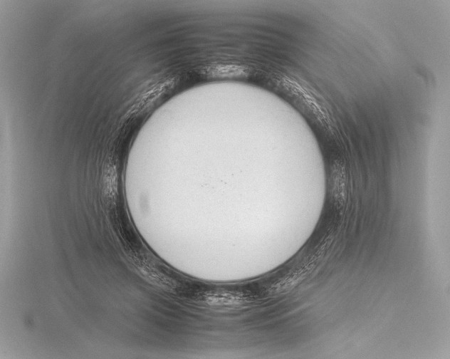 X0000115800549200912111211