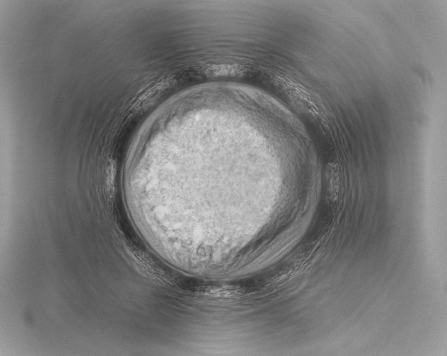 X0000115800550200912111211