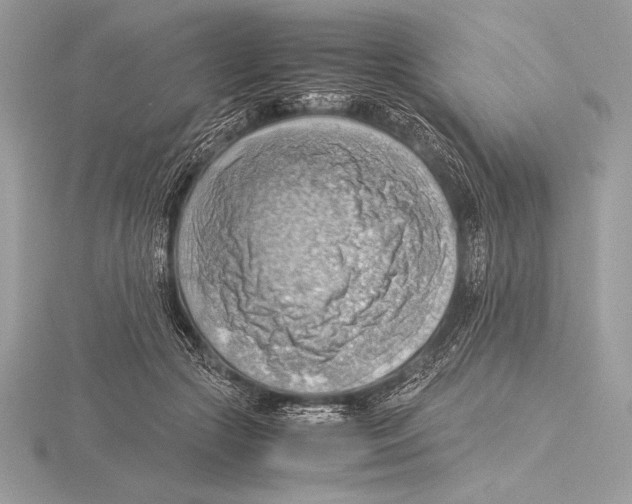 X0000115800553200912111211