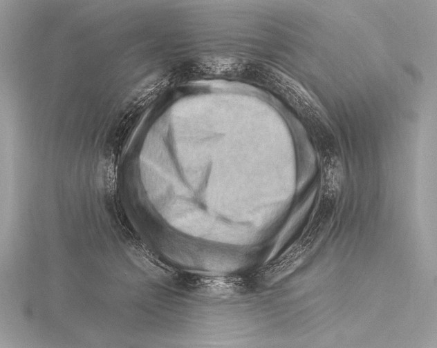 X0000115800558200912111212