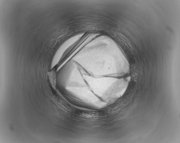 X0000115800563200912111212