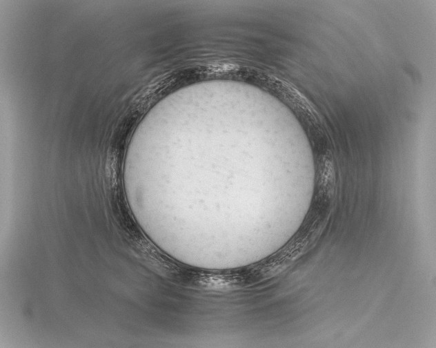 X0000115800565200912111212