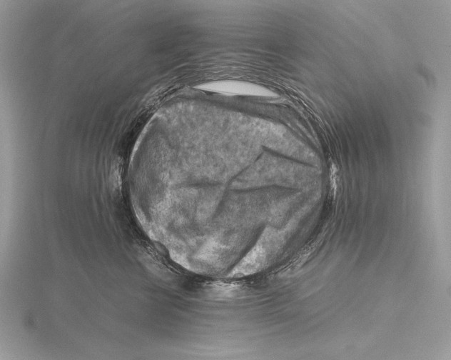 X0000115800570200912111212