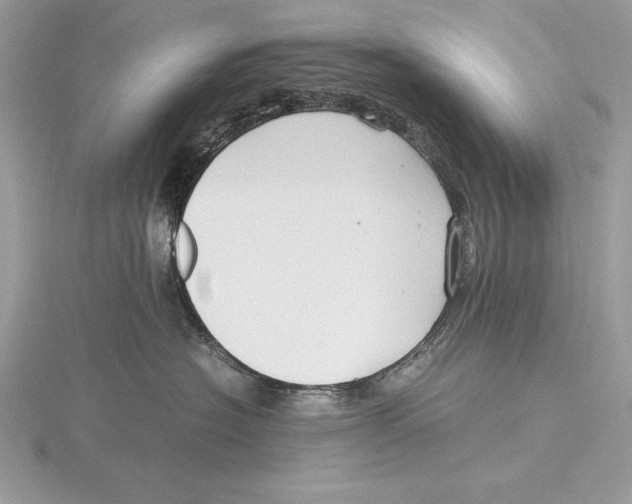 X0000115800574200912111212