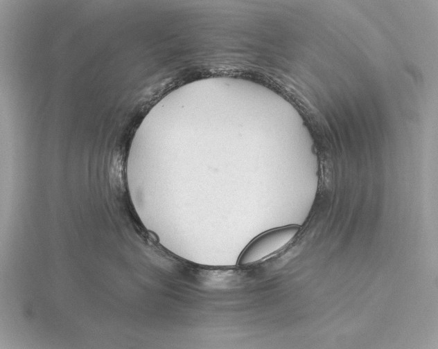 X0000115800575200912111212