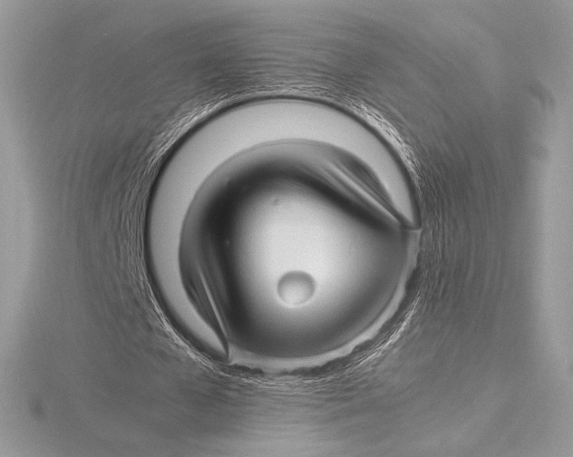 X0000115800577200912111211