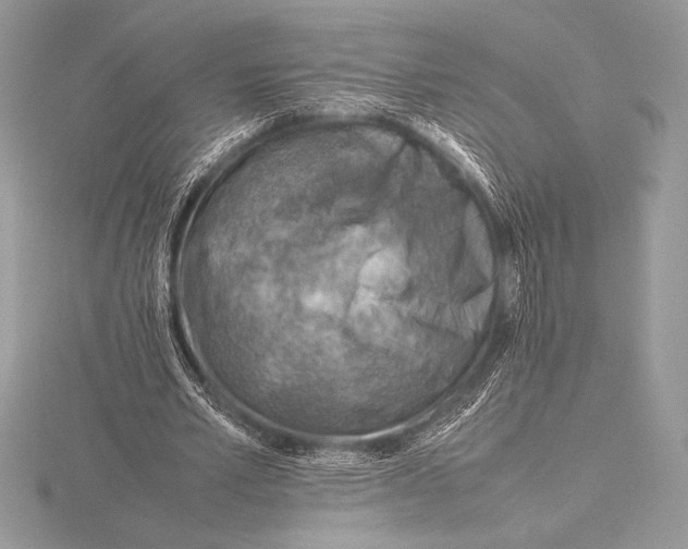 X0000115800581200912111211