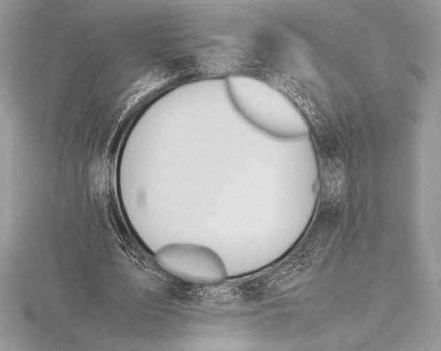 X0000115800583200912111211