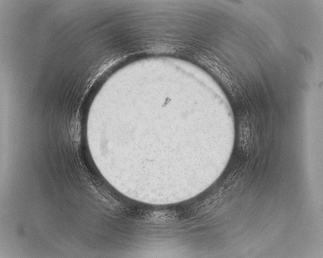 X0000115800584200912111211