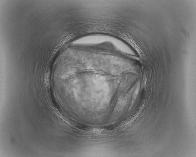 X0000115800585200912111211