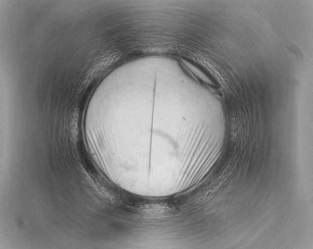 X0000115800586200912111211