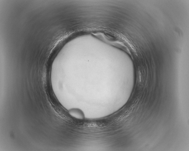 X0000115800588200912111211