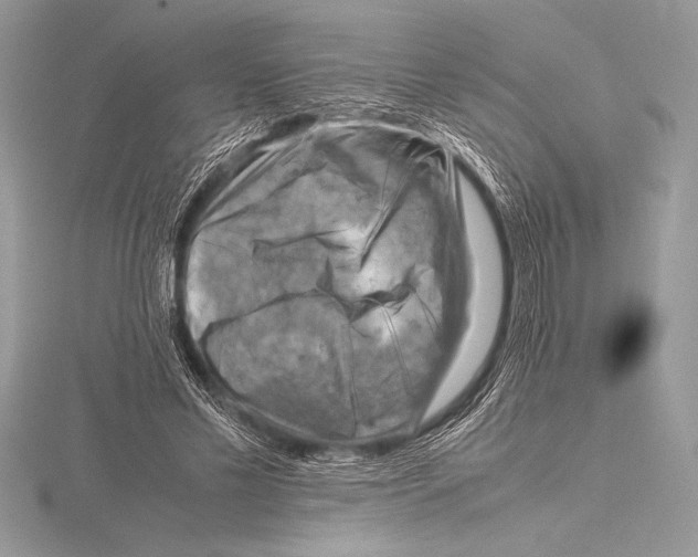 X0000115800589200912111211