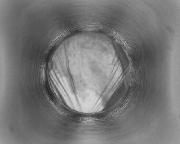 X0000115800590200912111211