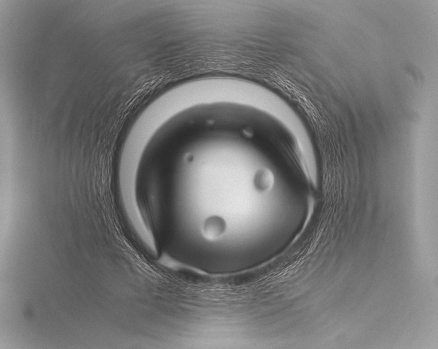 X0000115800593200912111211