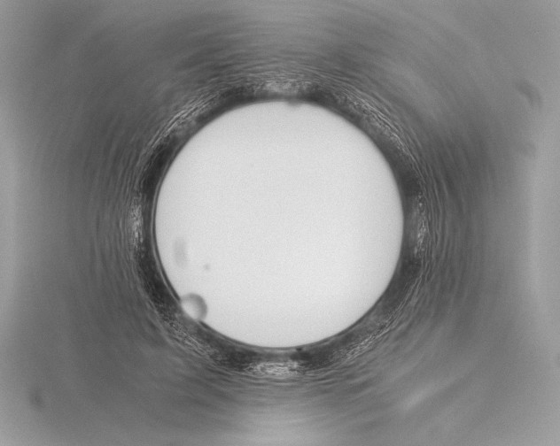 X0000115800595200912111211