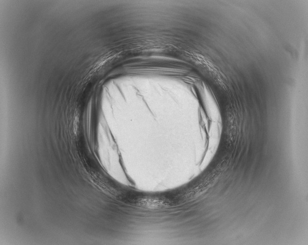 X0000115800596200912111211