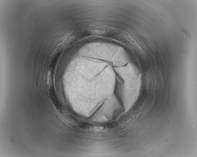 X0000115800598200912111211