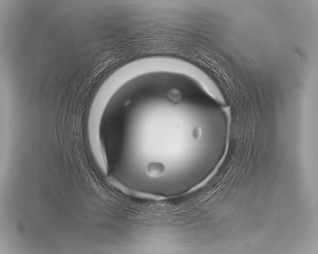 X0000115800599200912111211