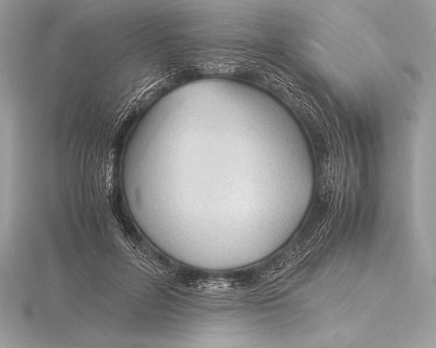 X0000115800600200912111211