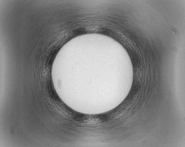 X0000115800601200912111211