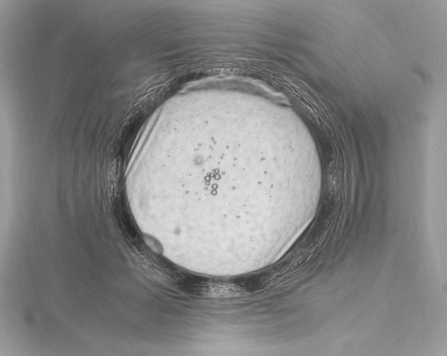 X0000115800605200912111211