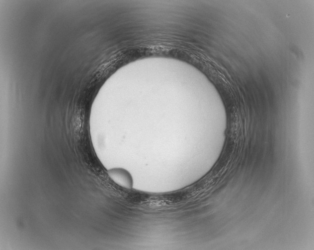 X0000115800608200912111211