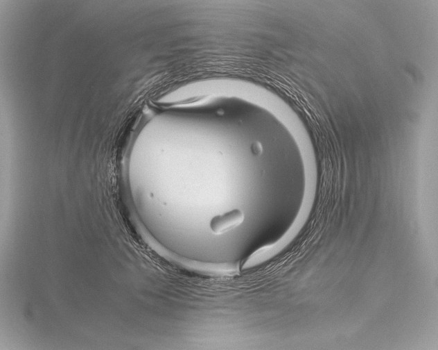 X0000115800609200912111211