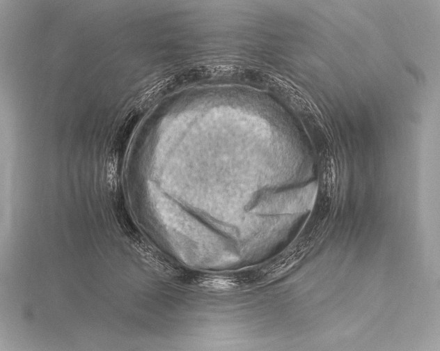 X0000115800610200912111211