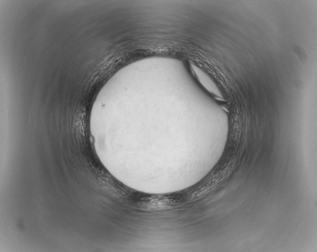 X0000115800612200912111211