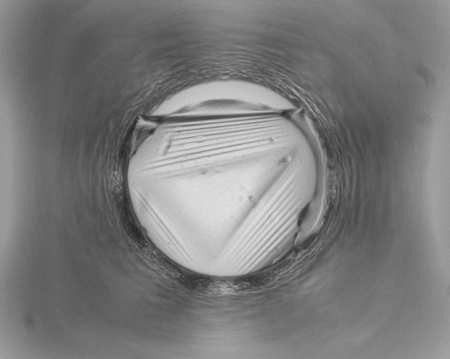 X0000115800613200912111211