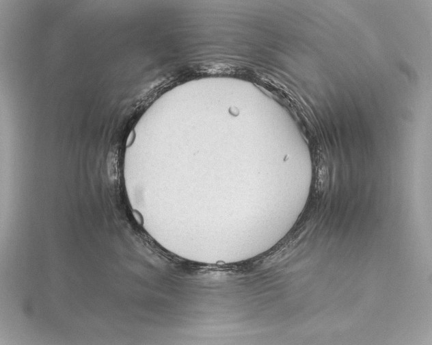 X0000115800620200912111211